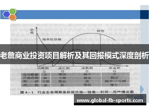 老詹商业投资项目解析及其回报模式深度剖析